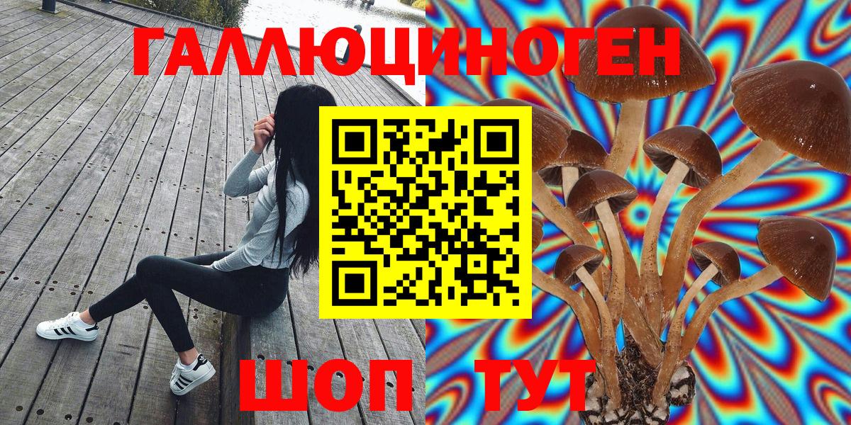 Людиново  Галлюциногенные грибы прущие грибы  Вход с VPN 